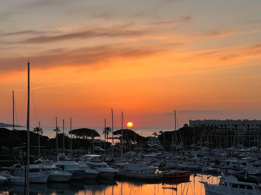 L'Atelier Marin Sur Le Port Des Marines Apartment Cogolin Luaran gambar